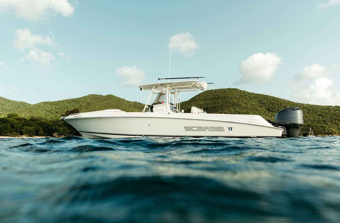 A Chater Boat Sitting in the Water With Mountains in the Backgroudn